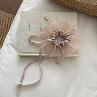Balletcore Sheer Scrunchie