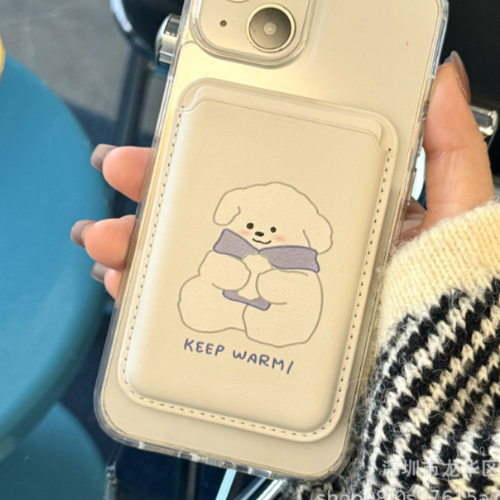 Magnetic Card Holder