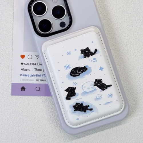 Magnetic Card Holder