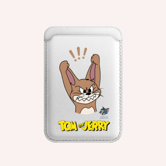 Magnetic Card Holder