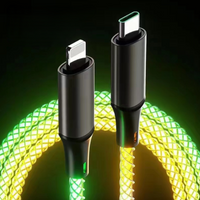 RGB Fast Charging Data Cable USB-C to Lightning