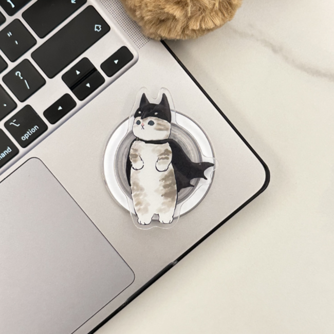Magnetic PopStand