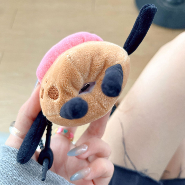 Case for AirPods