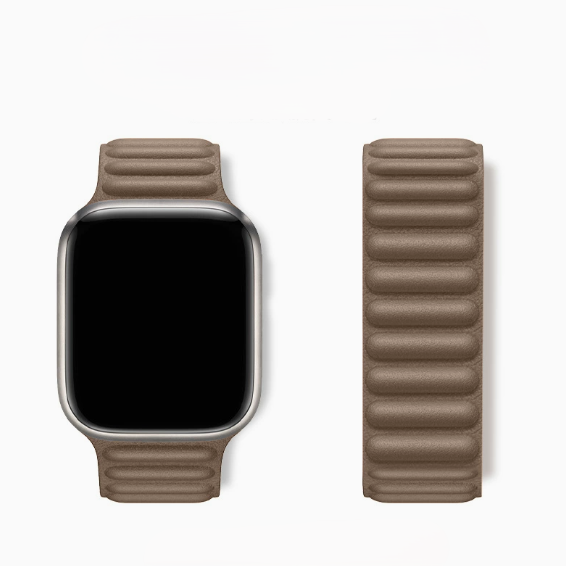 Apple Watch Leather Link Band